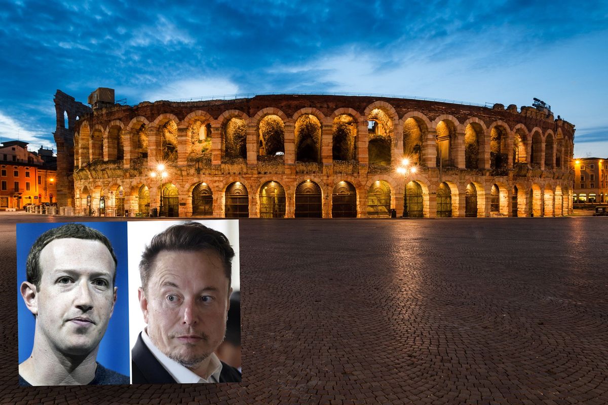 Location, servizi, menù e business: la sfida Musk-Zuckerberg all’Arena