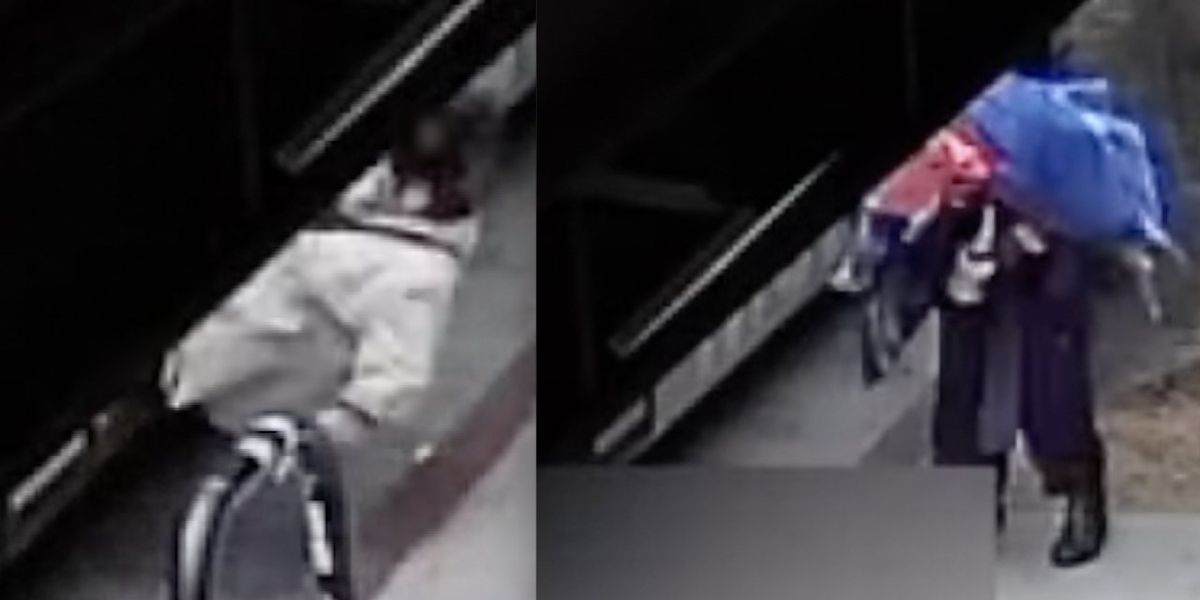 NextImg:Attacker allegedly kicks 84-year-old woman out of bus before spitting at victim lying flat on sidewalk; passerby pretends to help but swipes her purse, witness says