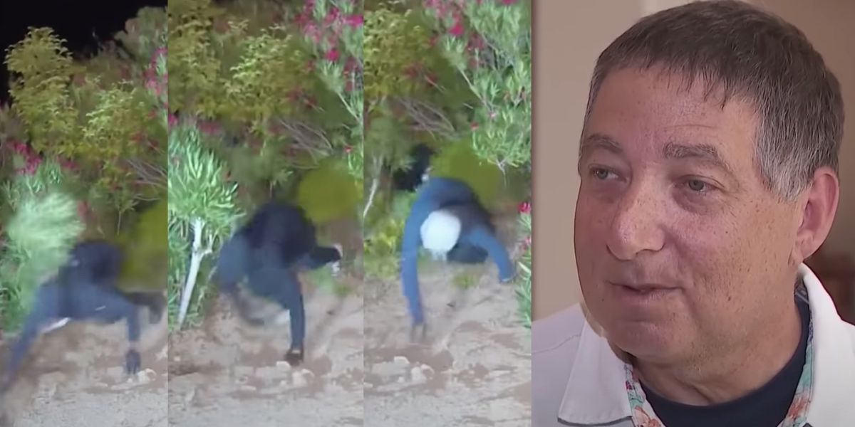 NextImg:Crime novelist's security cameras catch hooded burglars climbing through brush below his home