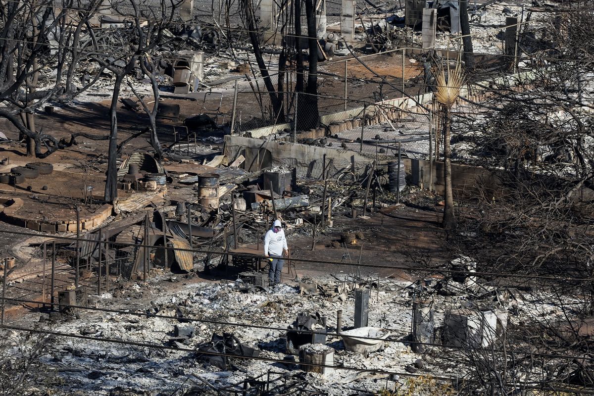 «Le erbe africane sulle terre incolte hanno causato i roghi alle Hawaii»