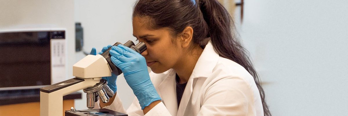 female scientist looking at a microscope