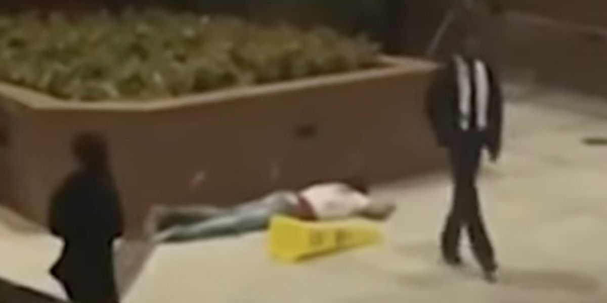 NextImg:Howard U student says security guard 'just walked away' from motionless brawl victim after attack on campus by mob of 'DC locals': Report