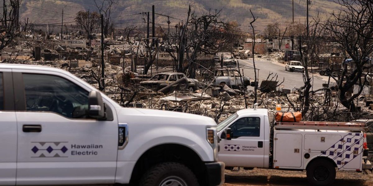 NextImg:Hawaiian Electric accused of focusing on meeting Democrats' renewable energy mandate rather than addressing known wildfire risks