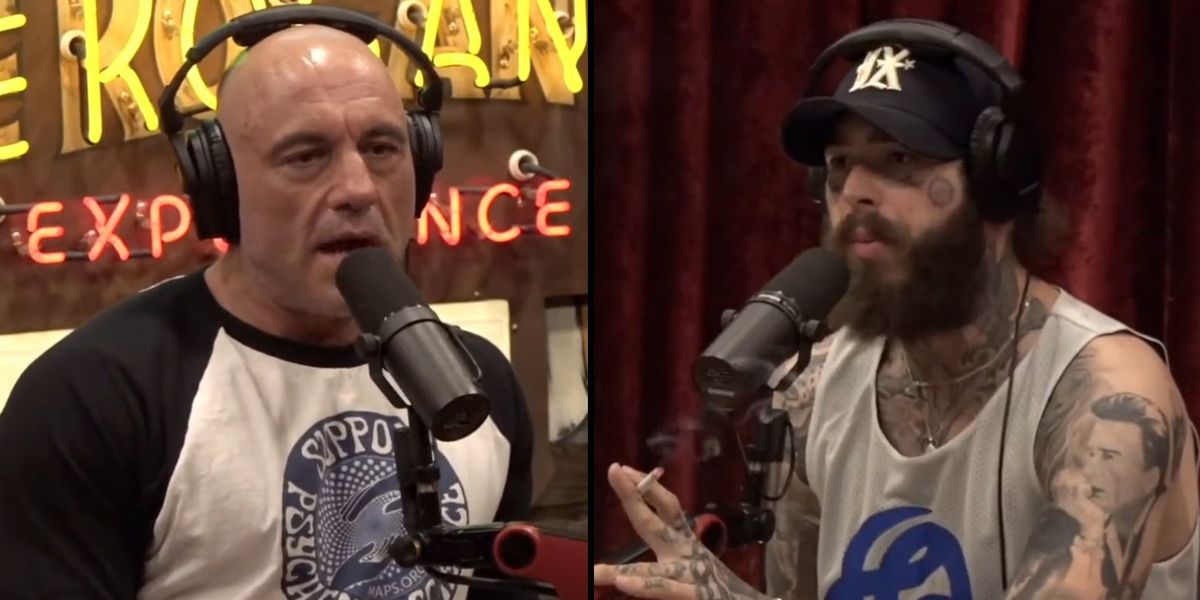 NextImg:Joe Rogan and Post Malone sound off on central bank digital currencies: 'No f***ing way. ... That's checkmate.'