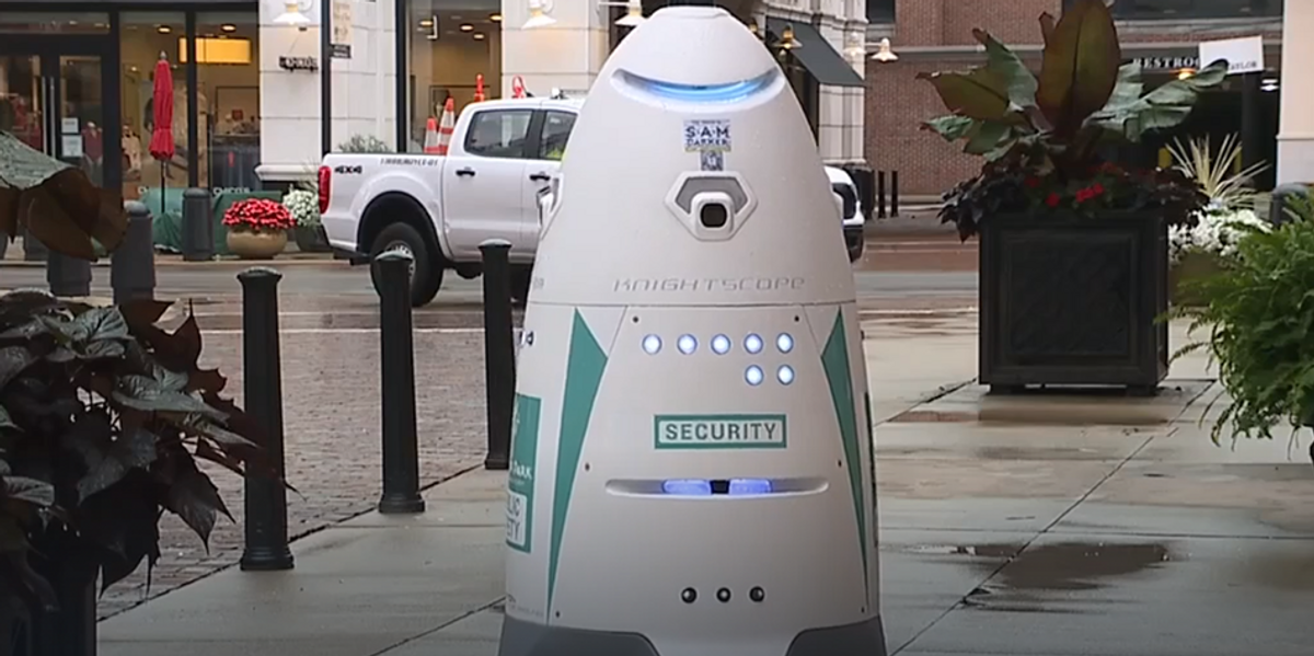 NextImg:Robot security deployed to Cleveland shopping district with thermal cameras and license plate reader: 'Sam loves hugs and selfies!'
