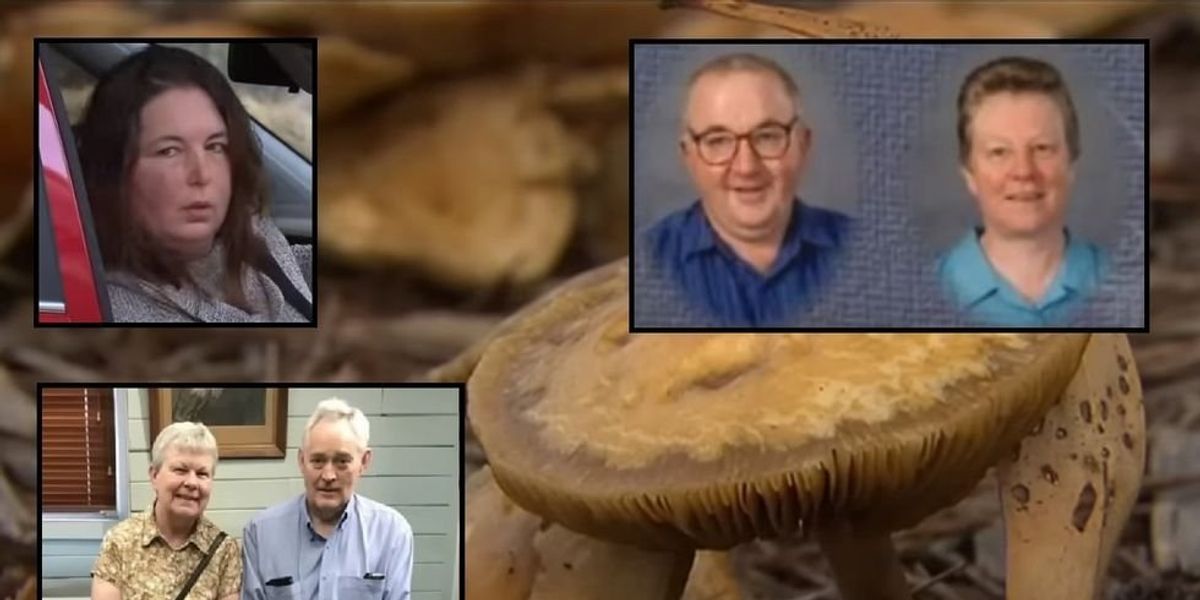NextImg:3 Australians die, 1 left critically ill after eating possibly poisonous mushrooms served by relative's ex-wife: 'It could be very innocent, but again we just don’t know'