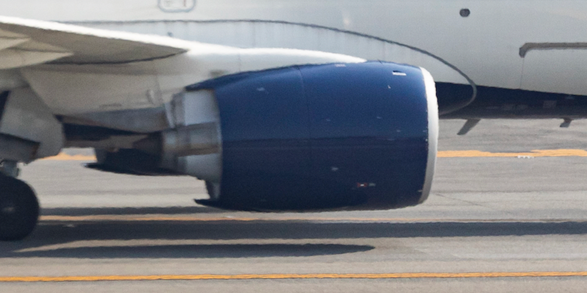 Passenger reportedly claims she saw ground crew worker get fatally 'ingested' into plane engine — and is now suing for $1 million