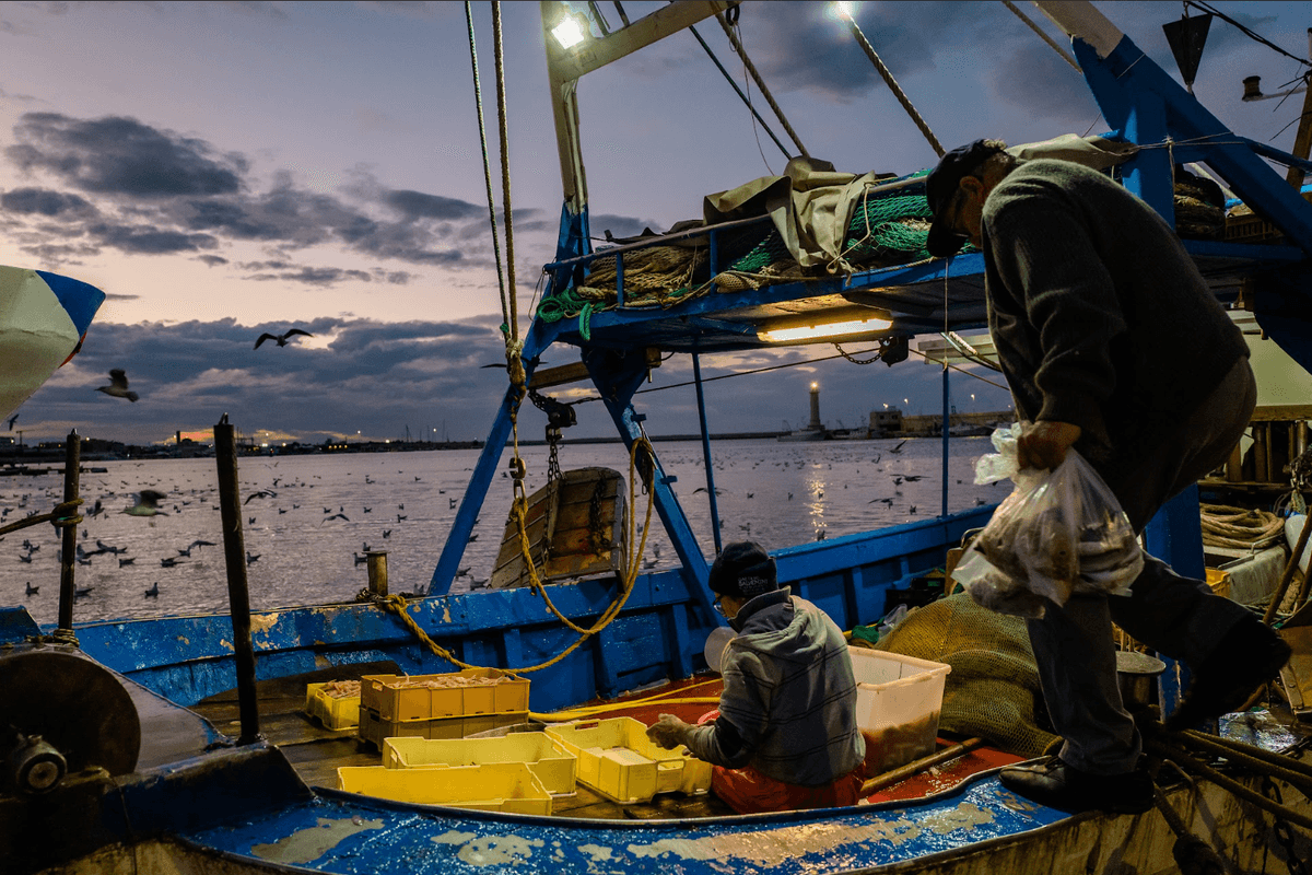 «Repubblica» scopre la nuova P2: i pescatori