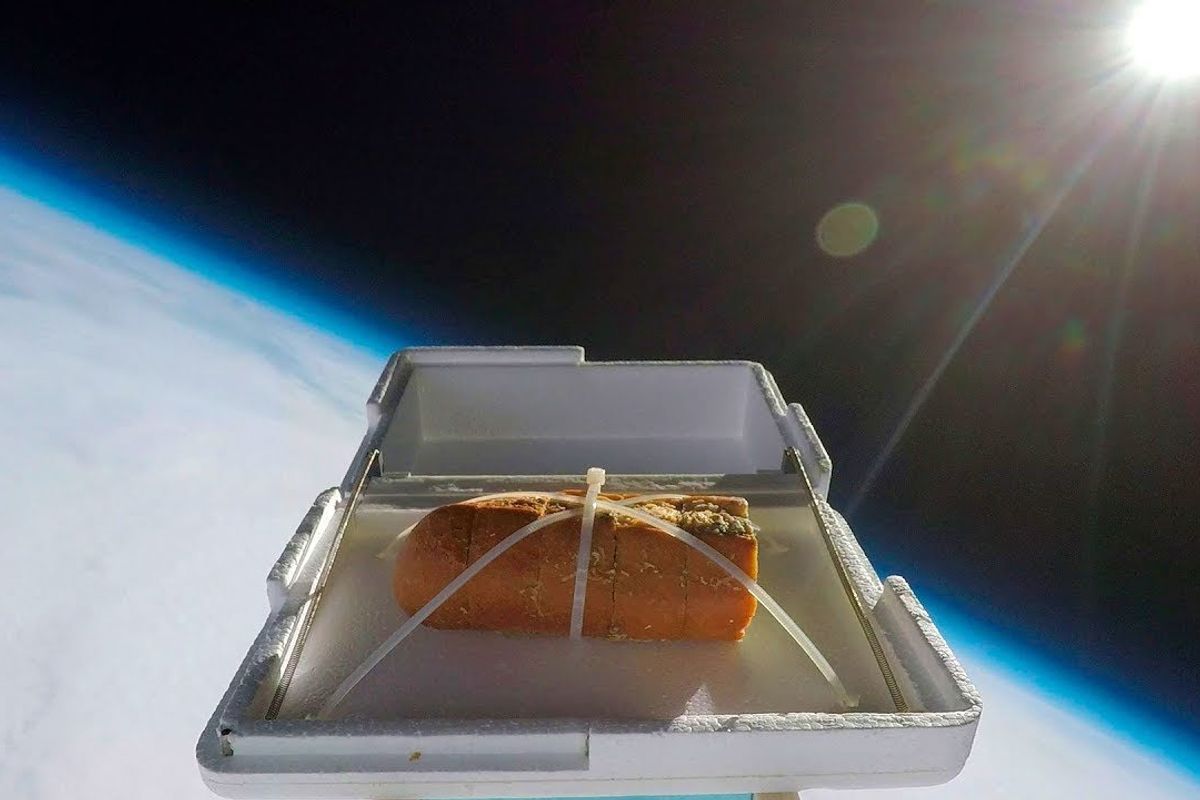 Space Travel For Your Dinner