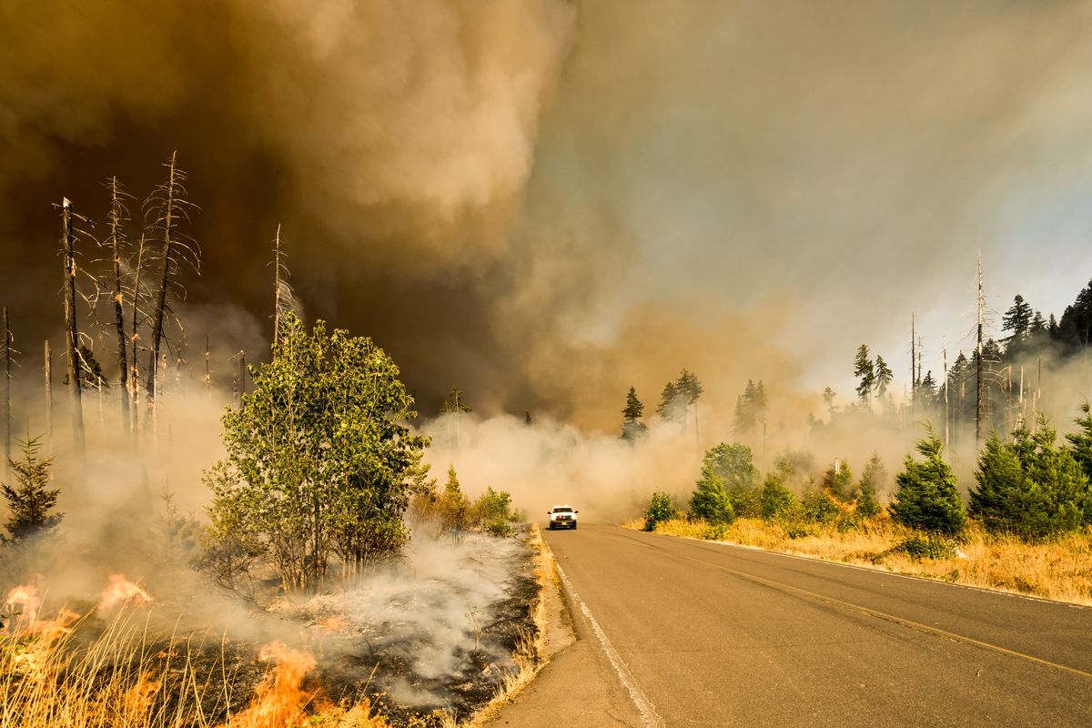 How Celebrities Have Been Affected by the California Wildfires