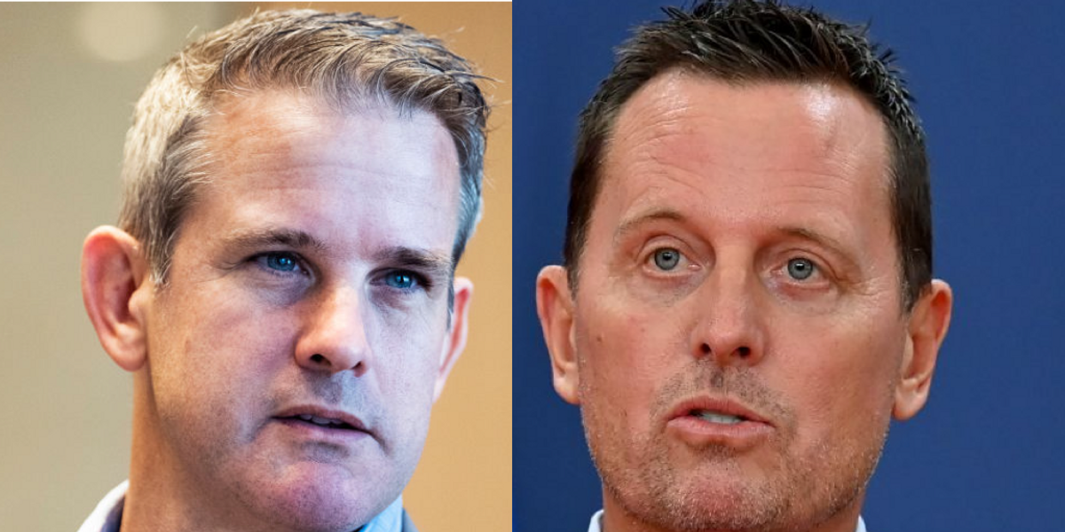NextImg:Richard Grenell warns people to be afraid of the government, then fires back at Adam Kinzinger for telling him to 'Shut up'