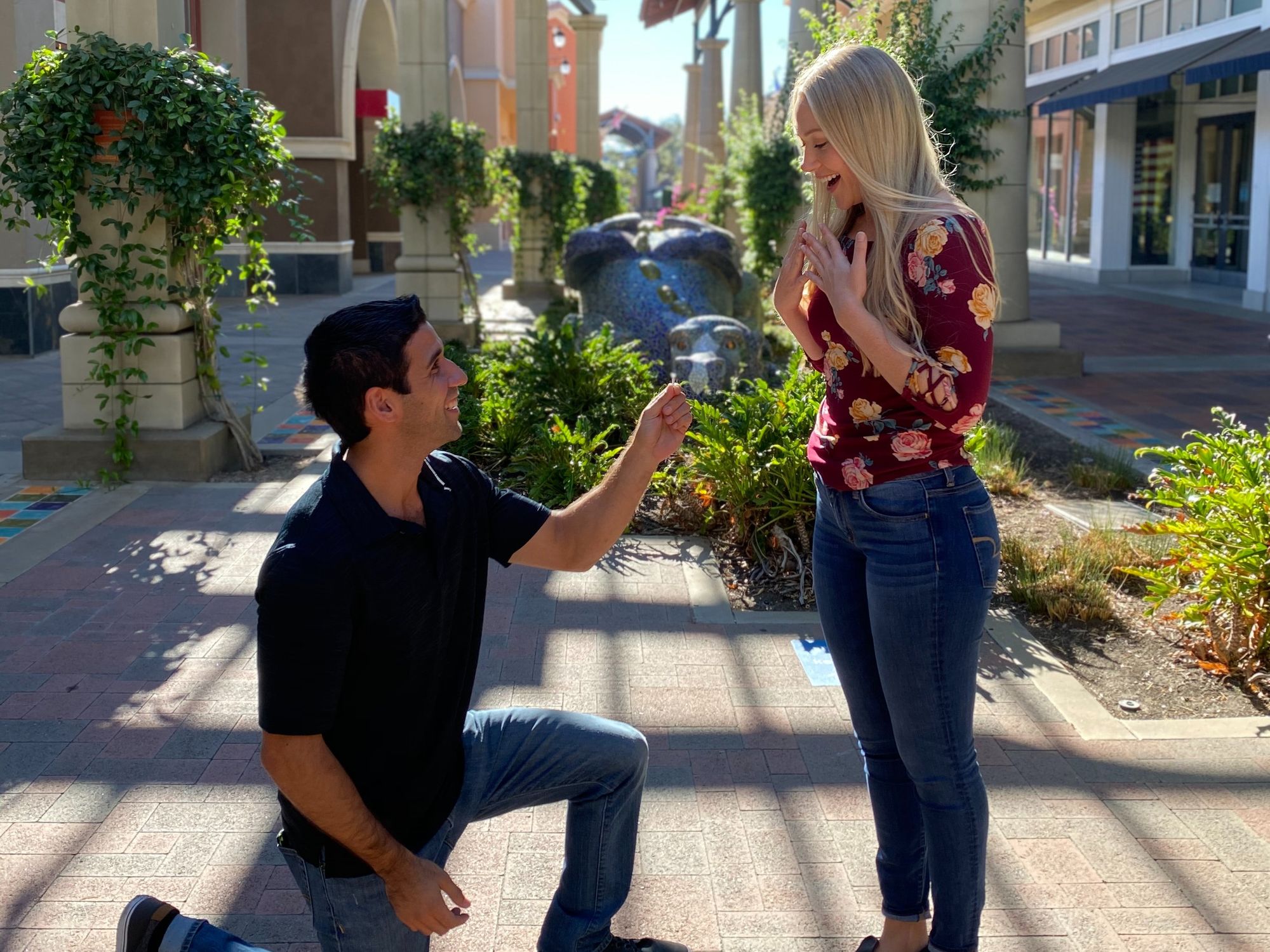 Marriage Proposals That Went Horribly Wrong