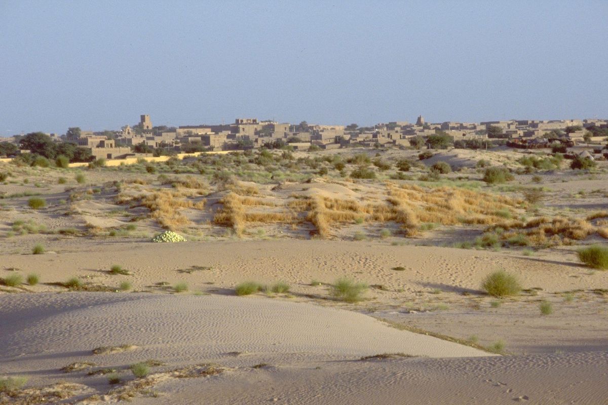Il caos nel Sahel manna per al-Qaeda: presa Timbuktu