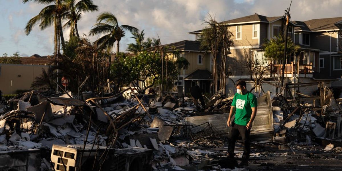 FEMA officials stay at $1,000-per-night luxury Maui hotels on 'other side of the island' while taxpayers foot the bill: Report