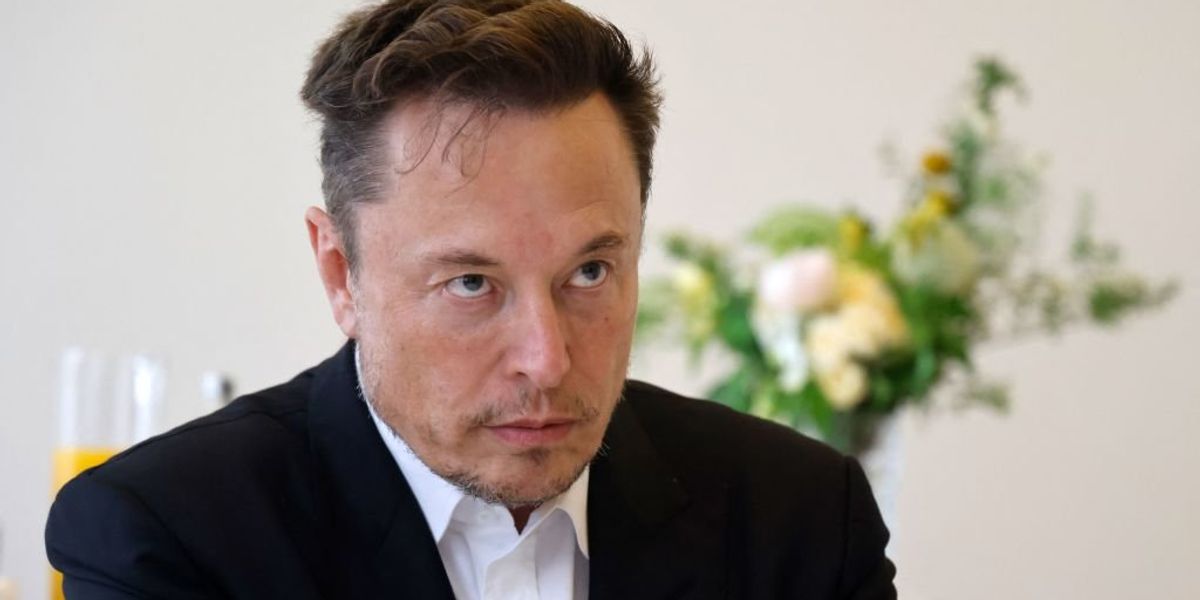NextImg:Elon Musk to sue Soros-funded NGOs to protect free speech from censorship agenda