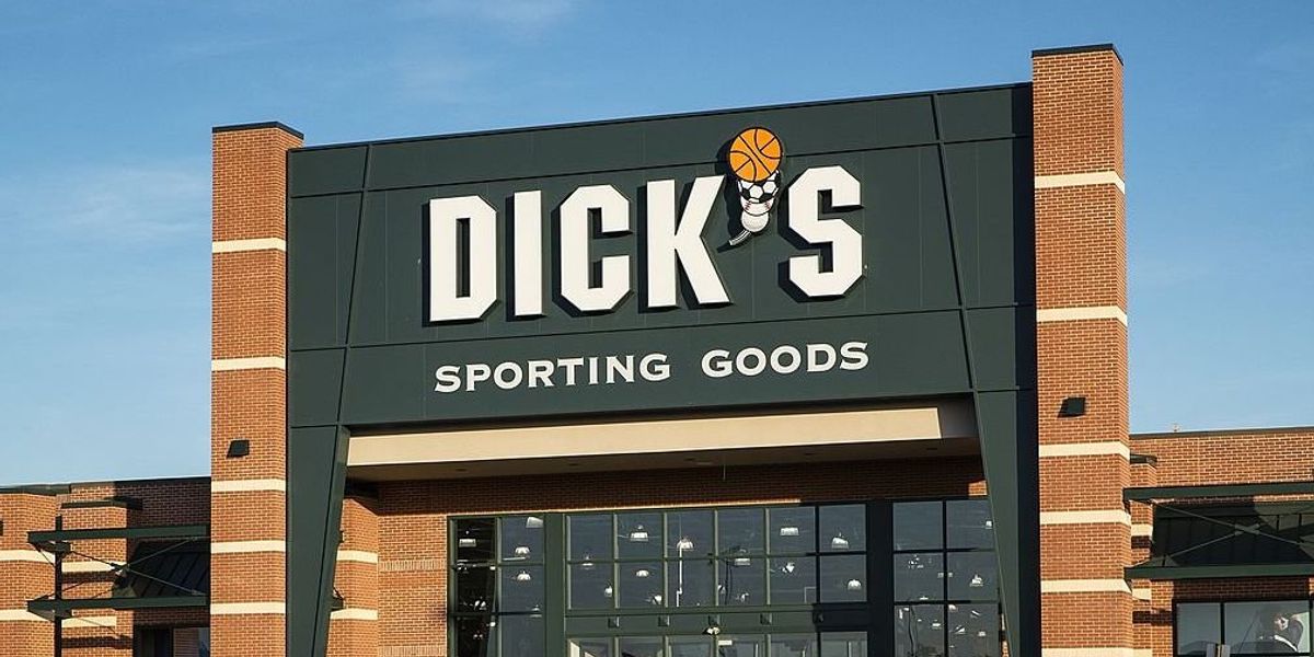 NextImg:Dick's Sporting Goods reports eye-popping profit crash due to 'organized retail theft': 'Quite alarming'