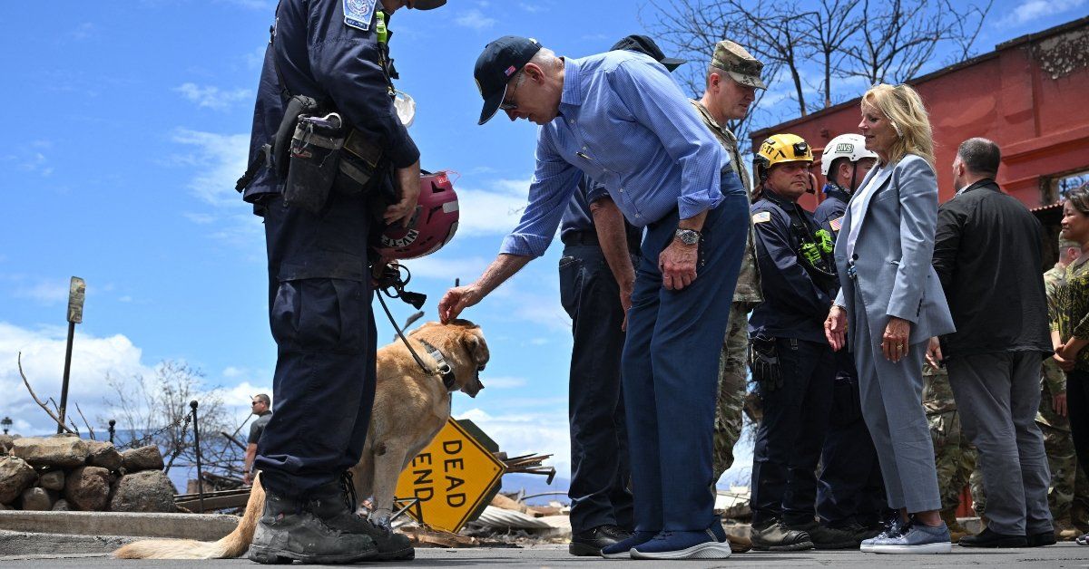 Biden petting search and rescue dog in Maui