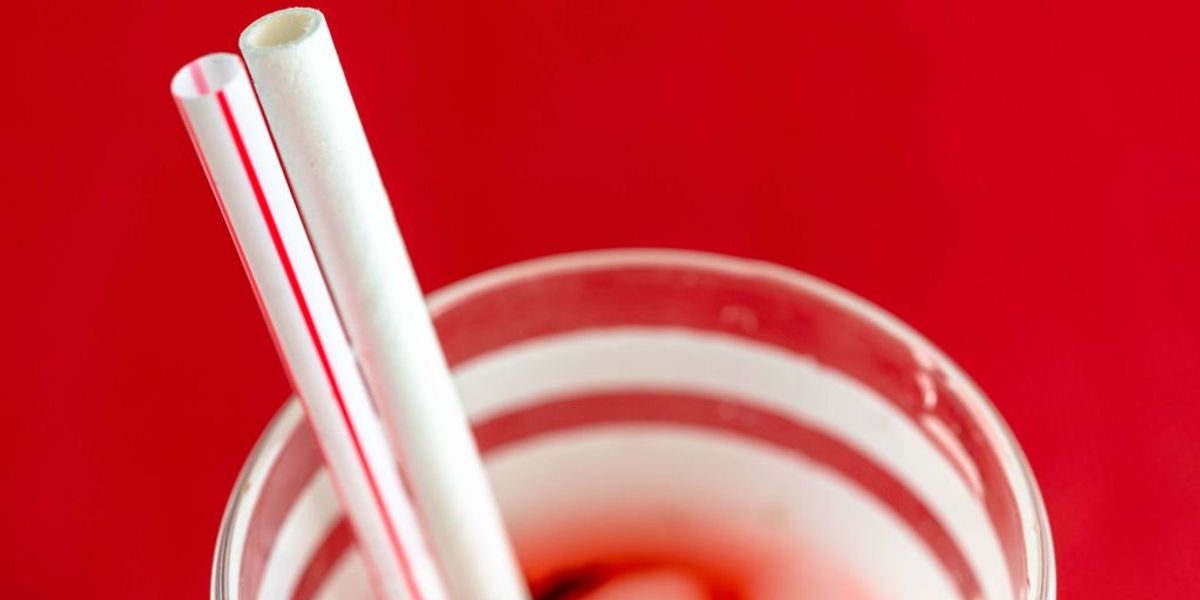 Eco-friendly paper straws contain more toxic 'forever chemicals' than plastic straws, study finds