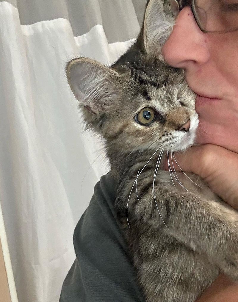 one eyed kitten kisses