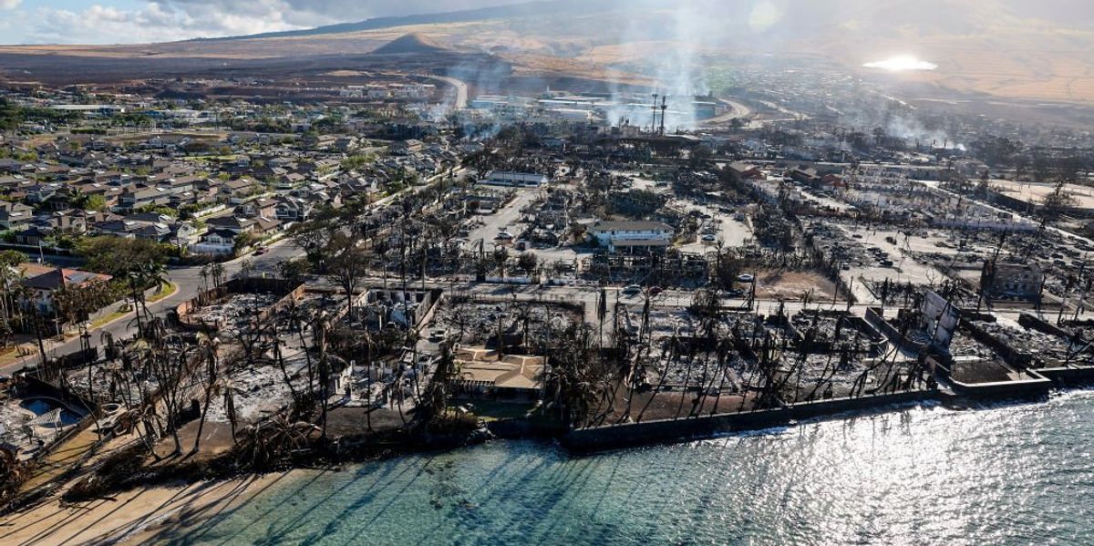 NextImg:The blame game begins over deadly Maui wildfire — but what officials aren't blaming sticks out