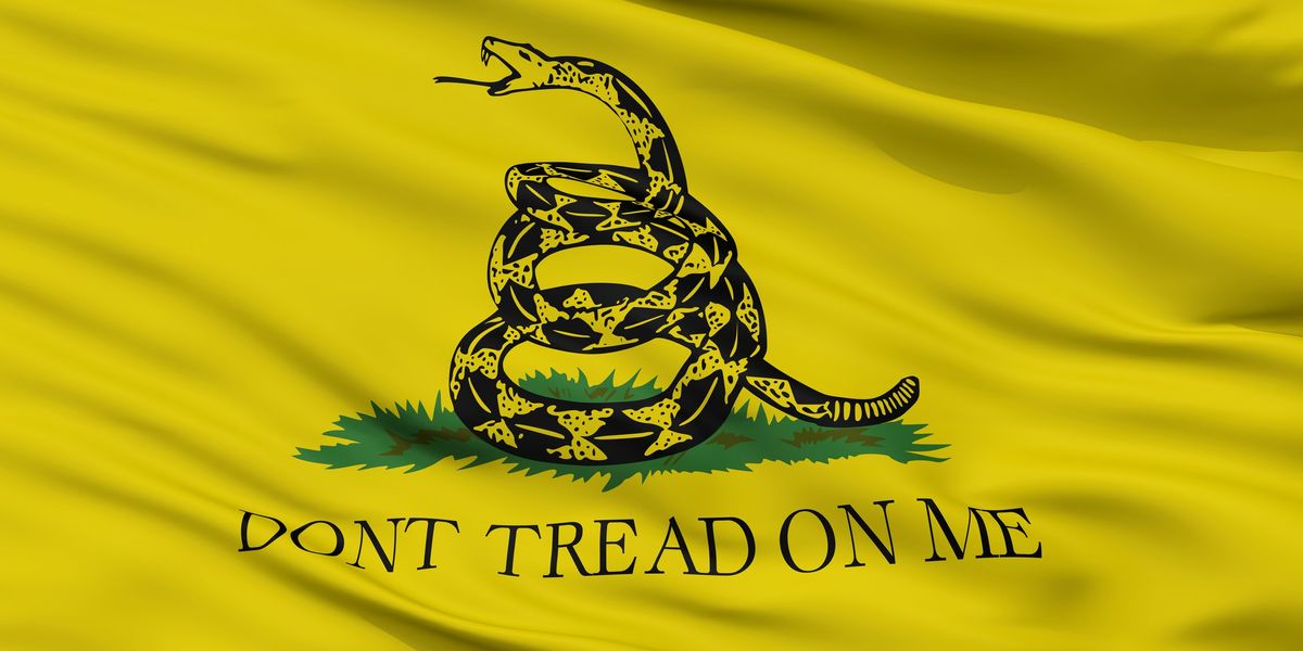 NextImg:Middle school student earns major win after school demanded he remove Gadsden flag from backpack