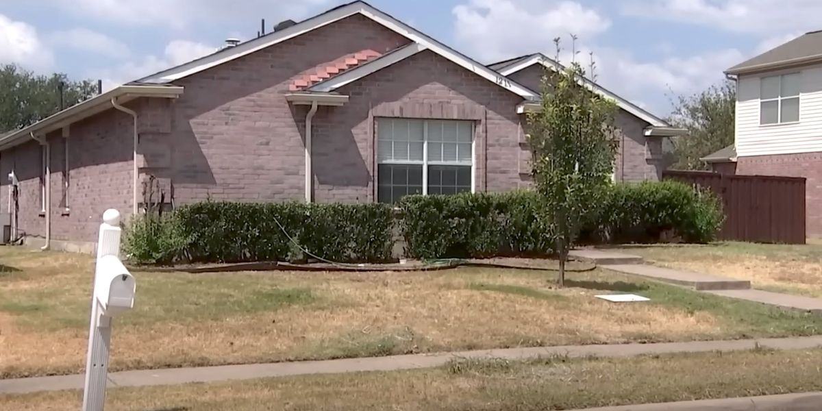 NextImg:Texas Muslim family found dead in apparent murder-suicide weeks after 4-year-old daughter died in pool drowning accident
