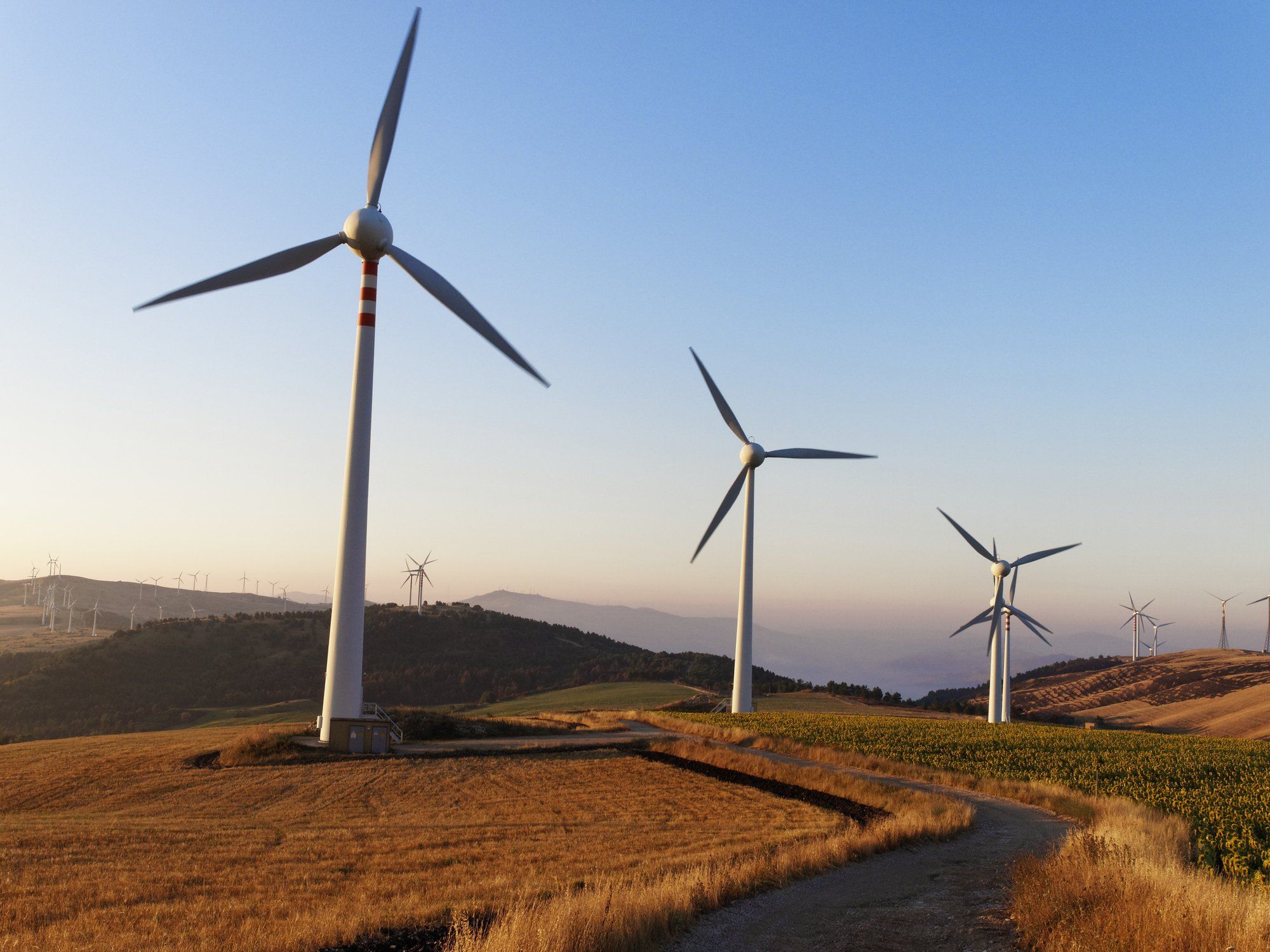 Flop eolico, antipasto della transizione Ue. Un altro big delle pale finisce nella buriana