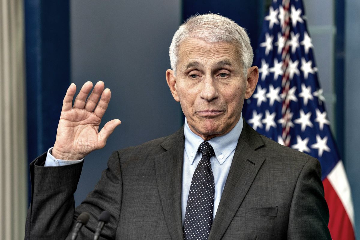 La star della pandemia ora si butta sul green