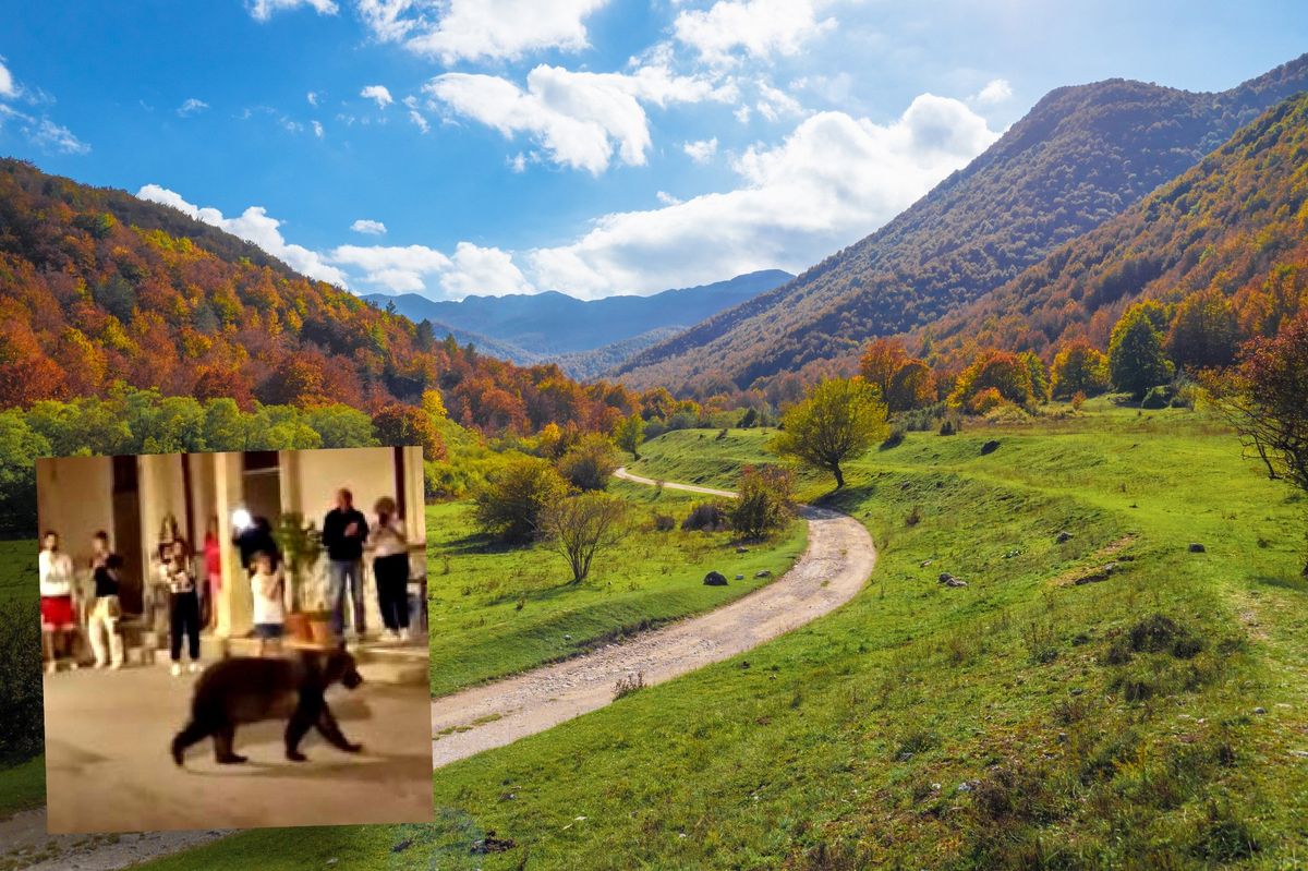 Ha ucciso l’orsa, rischia il linciaggio