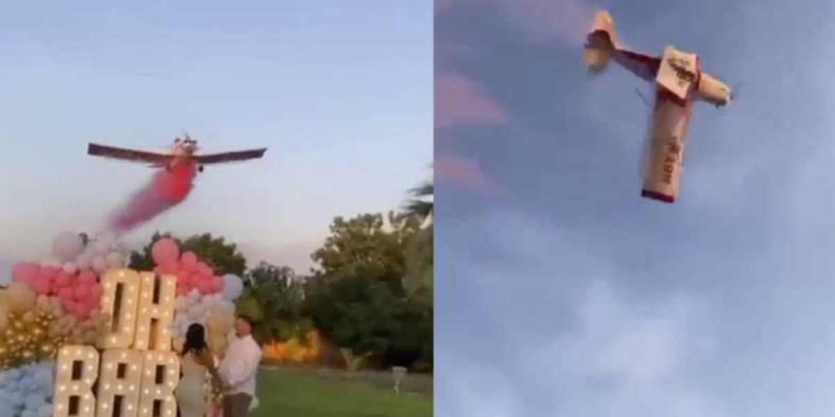 NextImg:Tragic video shows gender reveal party ends in disaster as plane crashes in front of guests, pilot dies