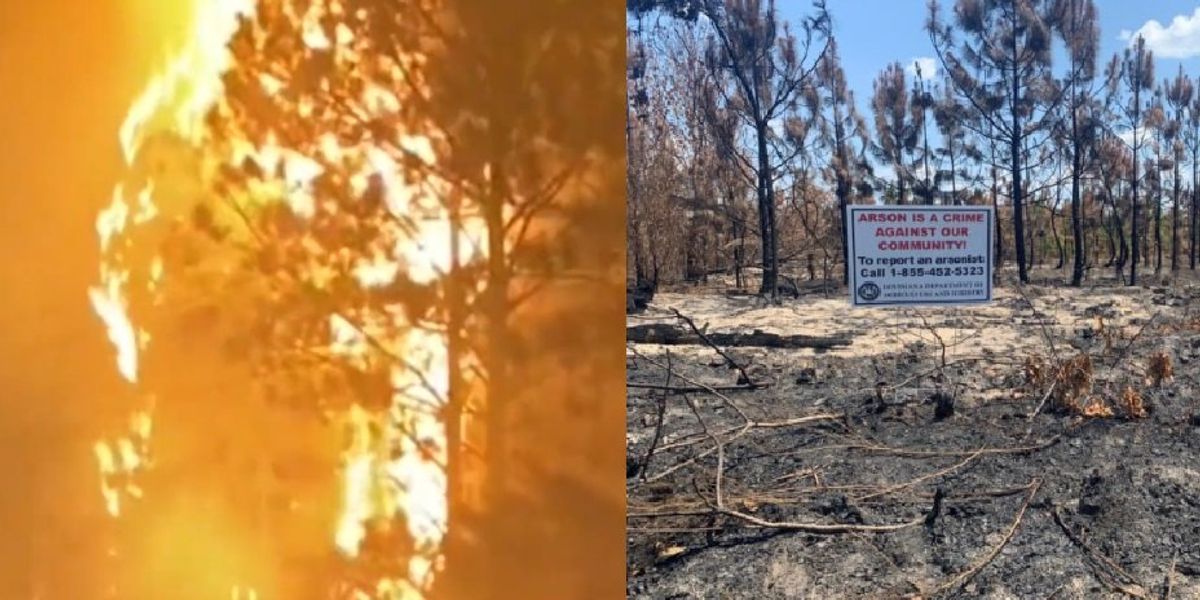 NextImg:Arson caused largest wildfire in Louisiana history, which has already ravaged nearly 50 square miles: Investigators