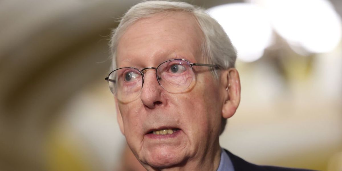 NextImg:In the wake of bizarre freezing episodes, Mitch McConnell says he will serve out the rest of his term