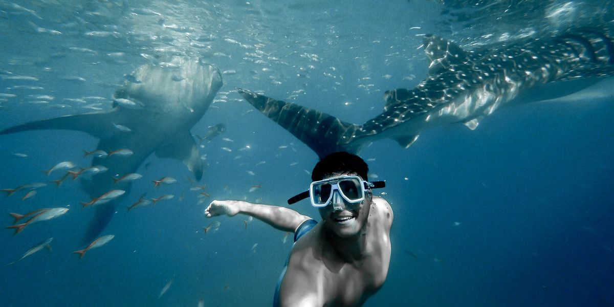 Man swimming with sharks