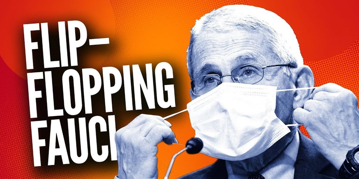 NextImg:Anthony Fauci was just CONFRONTED by the most UNUSUAL suspect