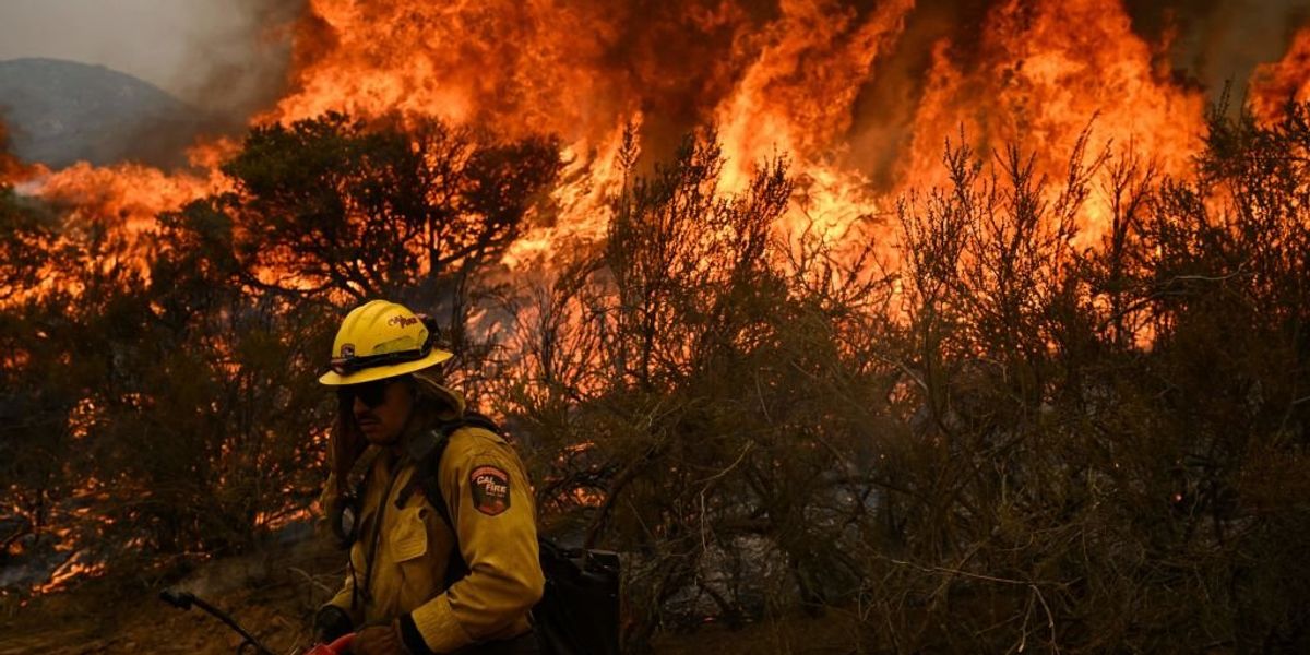 NextImg:Climate scientist admits to leaving 'out the full truth' about wildfire causes in order to get published in top scientific journal, reveals the tricks other alarmists play to get ahead
