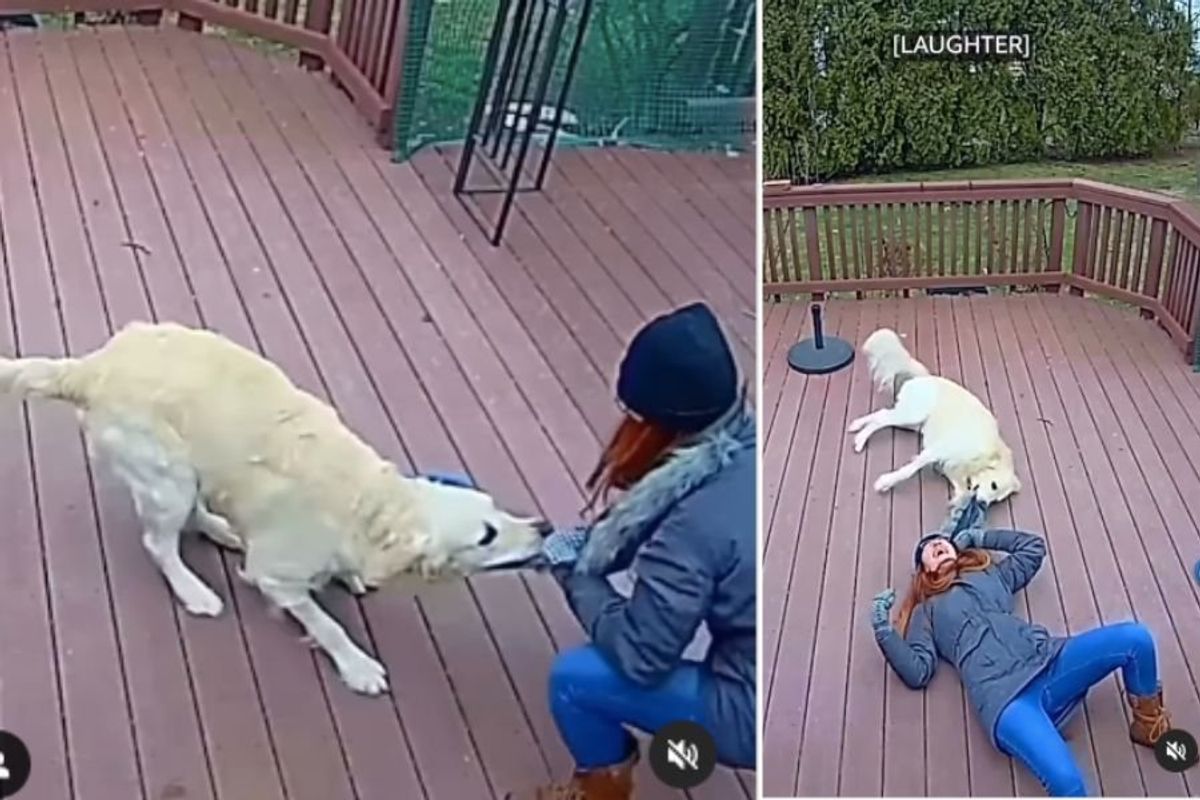 woman playing tug-of-war with her dog