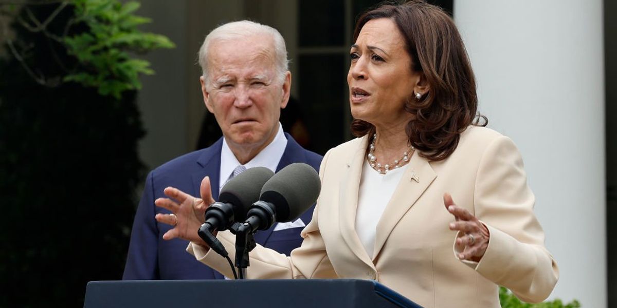 NextImg:Kamala Harris warns she 'may have to take over' as president and is ready to do so but dismisses concerns about Biden's decrepitude