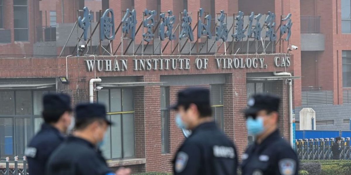 NextImg:Whistleblower claims CIA paid off analysts to reject COVID-19 lab-leak theory: 'Biggest COVID coverup yet'