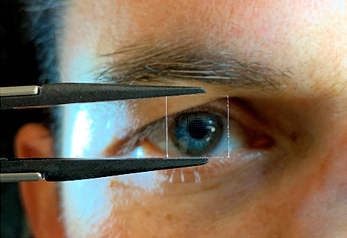 See-Through Sensors Hide Eye-Tracking in Plain Sight