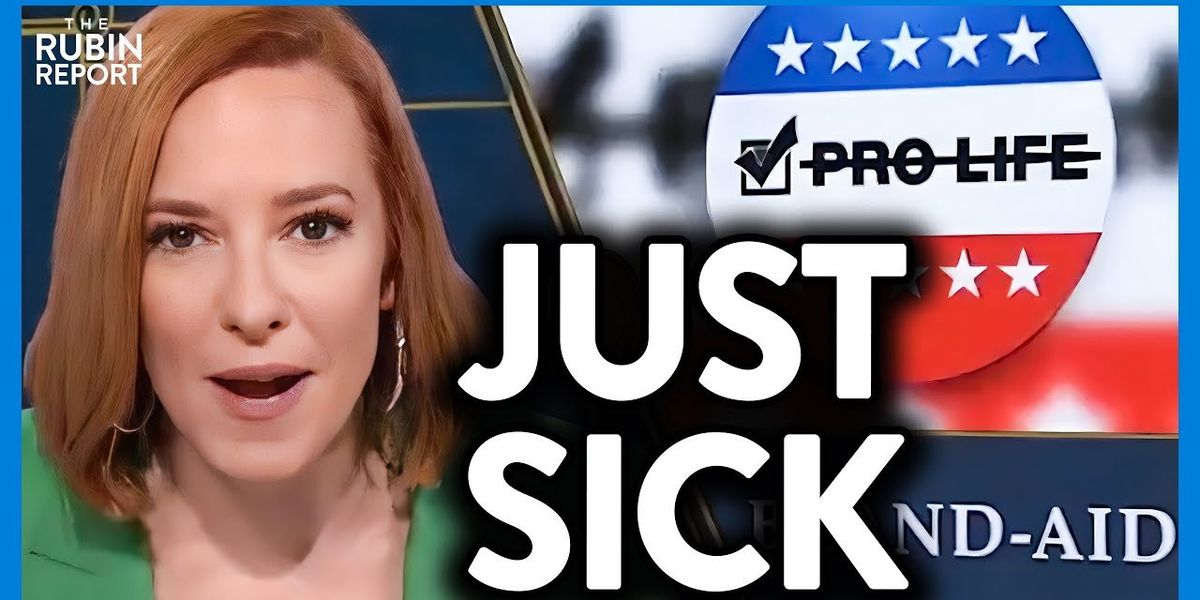 THIS 'paid liar' from MSNBC just said something 'genuinely DISGUSTING' about the pro-life movement