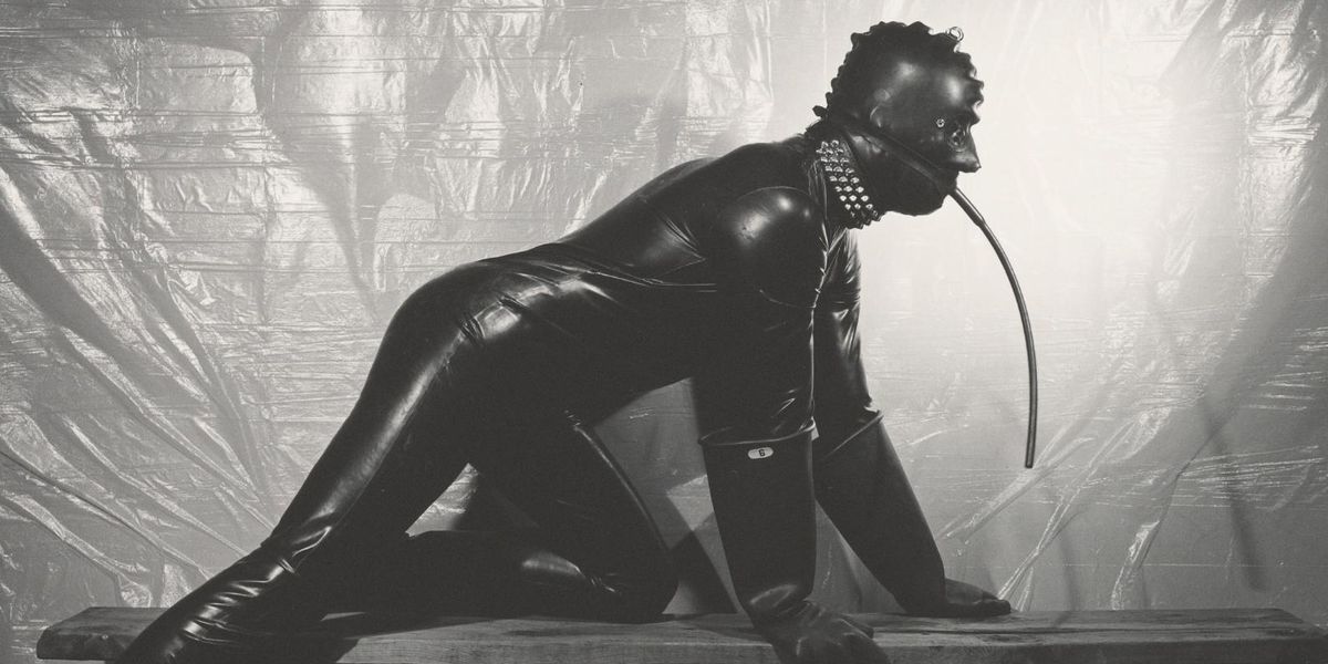 Mapplethorpe's Magnificent Moment