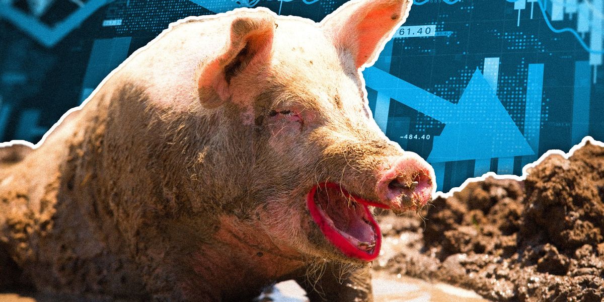 Bidenomics is lipstick on a pig