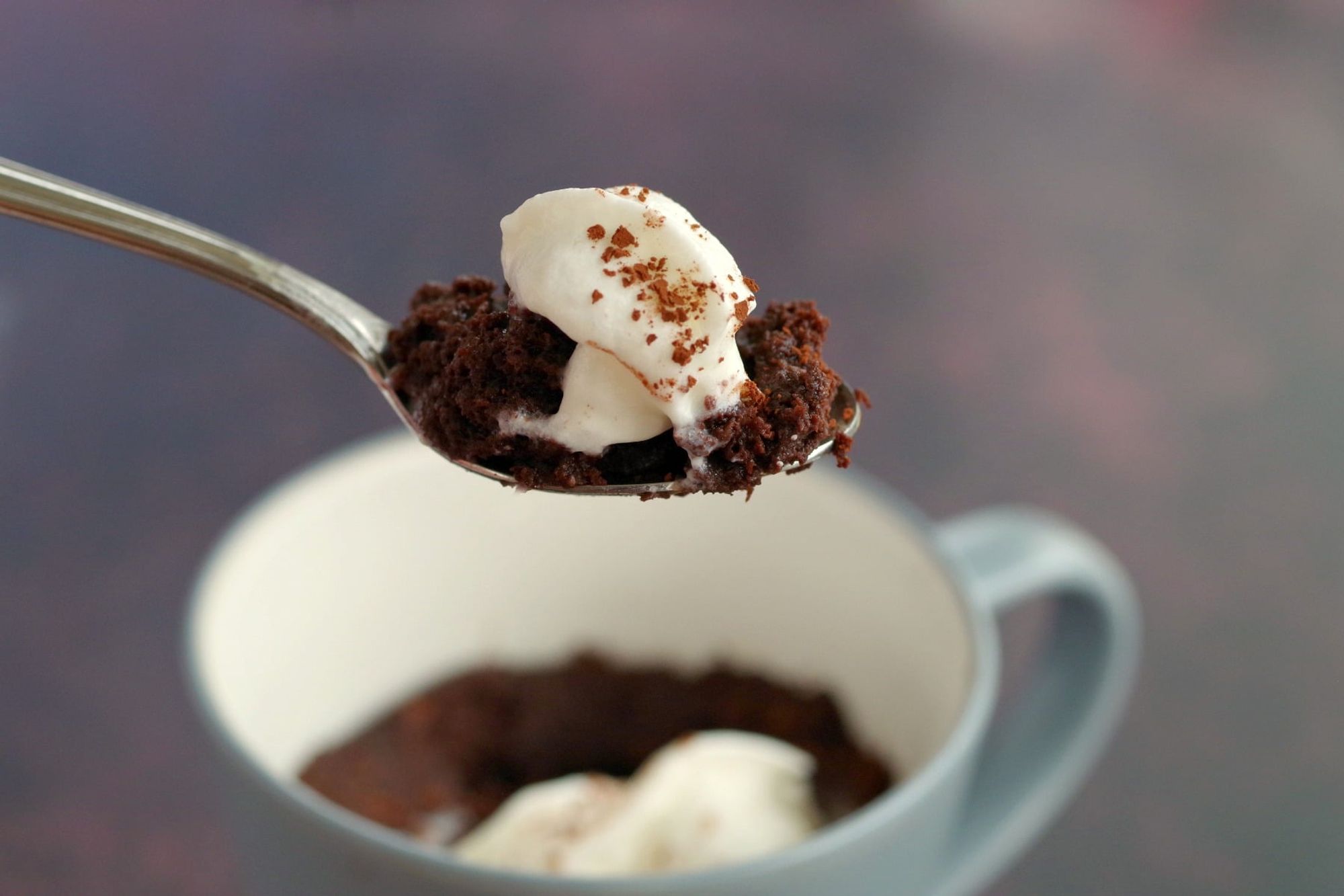 Microwave Chocolate Banana Mug Cake WW friendly My