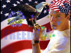 America, freedom, countries, rights