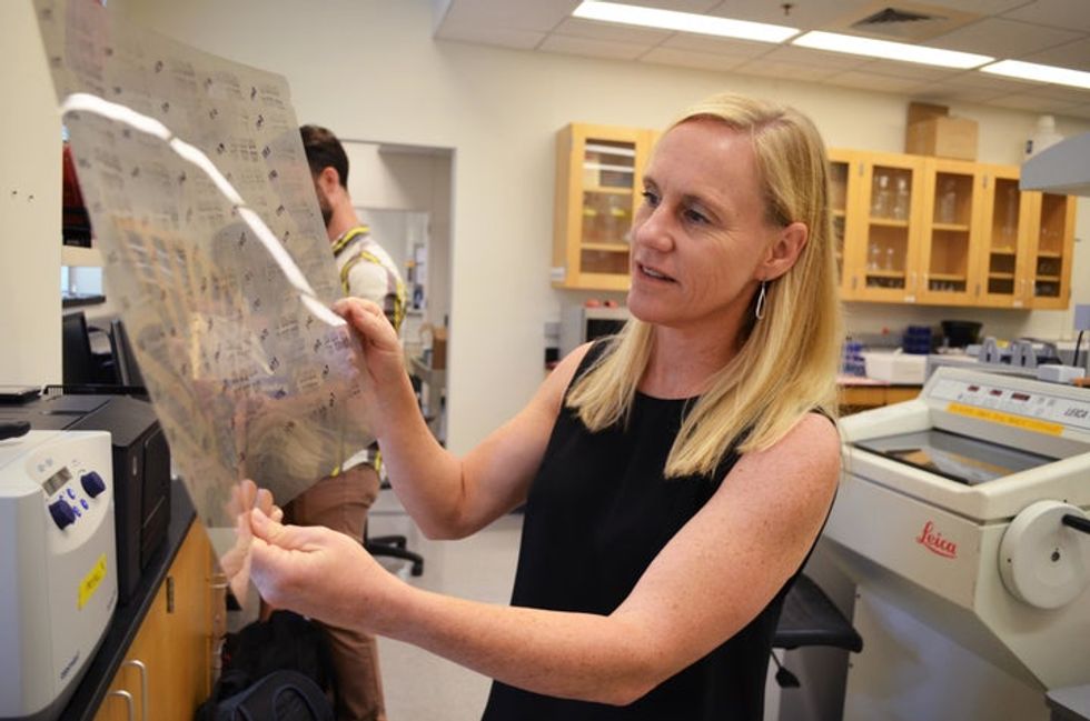Is BPA making us fat, anxious and sick? A new effort to find the answer may be falling apart