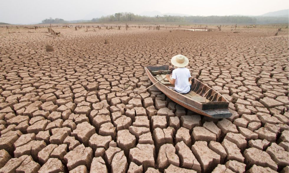 Climate change and the power of story