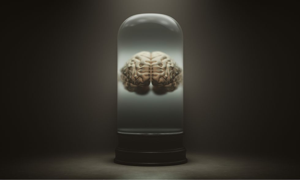 No brains in vats