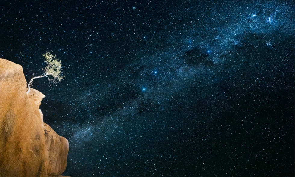 The galactic tree of life