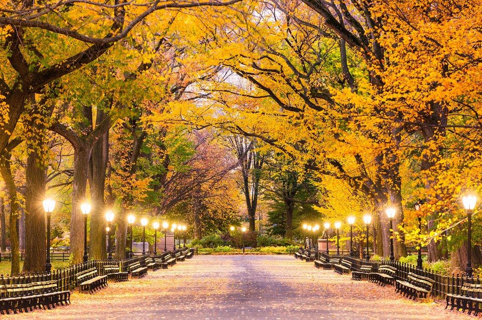 5 Cities For The Perfect Fall Weekend Getaway United Hub