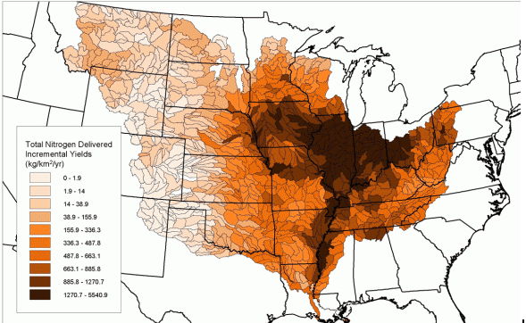 Dead Zone In The Gulf Of Mexico   Img 